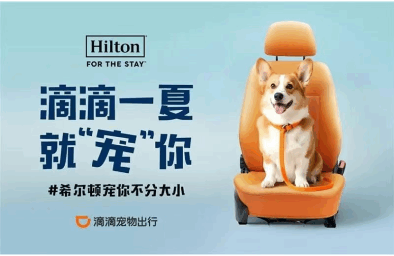 希尔顿集团升级宠物友好服务，联动滴滴，打造“住行一体”度假体验