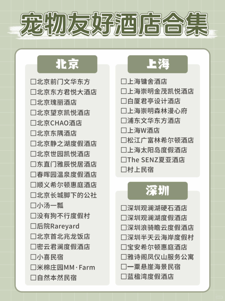 宠物友好酒店指南：与毛孩子共度美好旅行时光插图3
