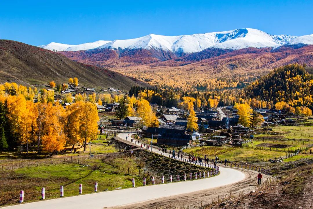 新疆秋色最美在哪？走进喀纳斯，邂逅中国最迷人的秋天插图6