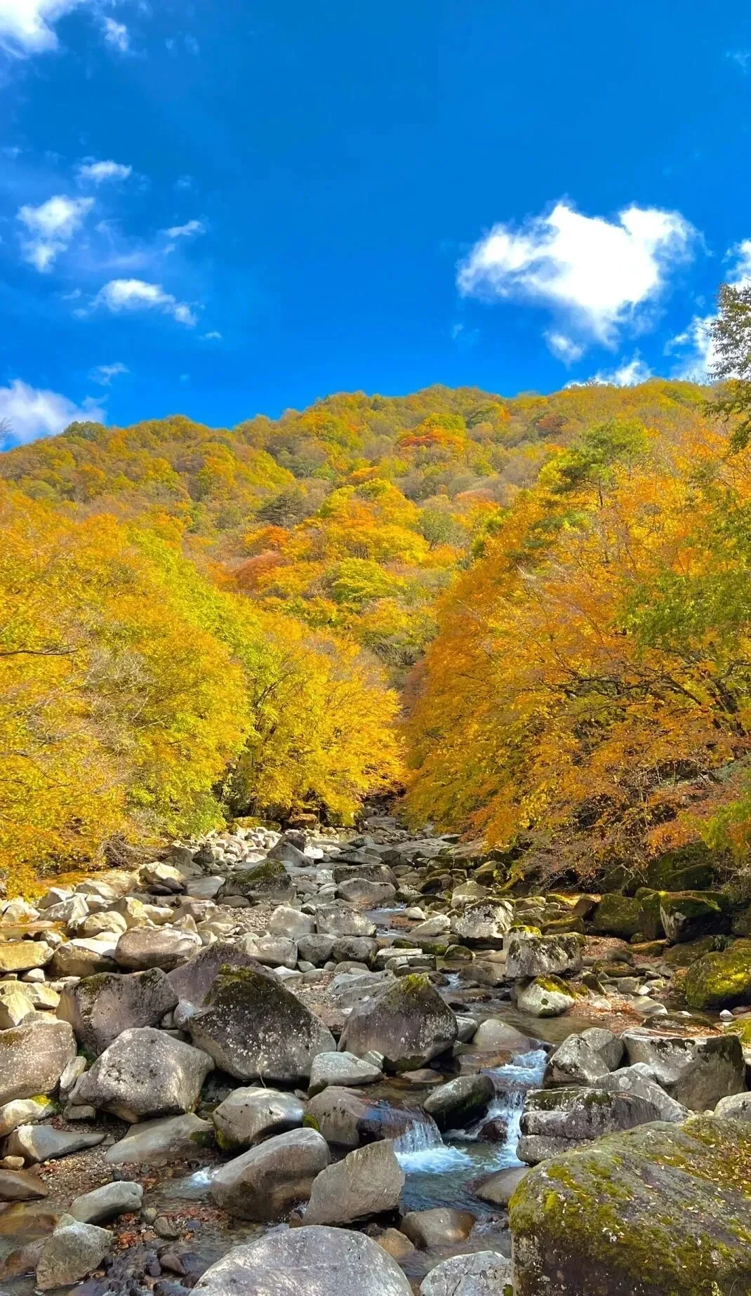 国庆避开人潮！十一放假小众冷门旅行地，景美人少插图1