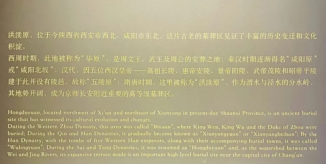 咸阳机场T5博物馆深度体验：转机过夜，发现隐藏的文化宝藏插图7