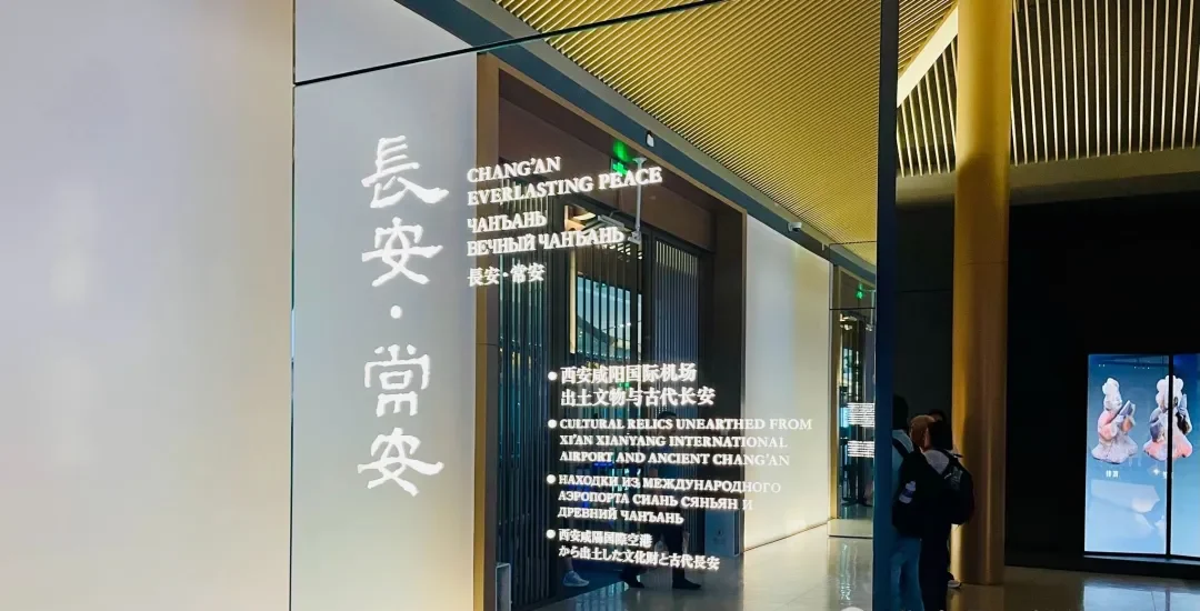 咸阳机场T5博物馆深度体验：转机过夜，发现隐藏的文化宝藏插图4